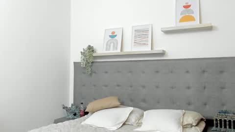 SEBAS online show from 02.22.26