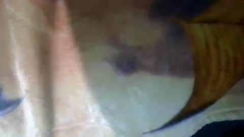 Sunny online show from 03.14.26