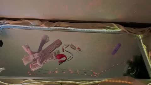 Mali online show from 01.15.26