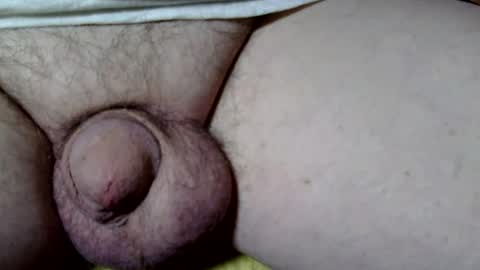 Snapshot of seeus24 chatting on 11.02.25 seeus24 online show from 11.02.25