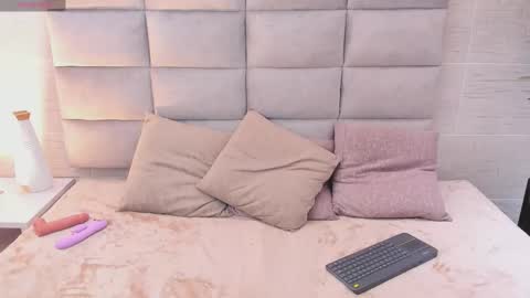 Snapshot of seikibee chatting on 02.19.26 seikibee online show from 02.19.26