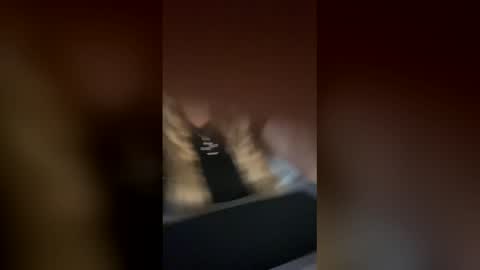 Alina online show from 11.25.25