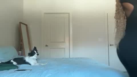 Serenity Bee   online show from 11.17.25