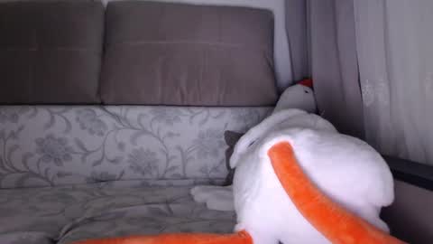 Snapshot of sexsy_bunny chatting on 10.01.25 See you on October going to miss you guys incredibly. Subscribe to my Onlyfans Channel to follow the news online show from 10.01.25