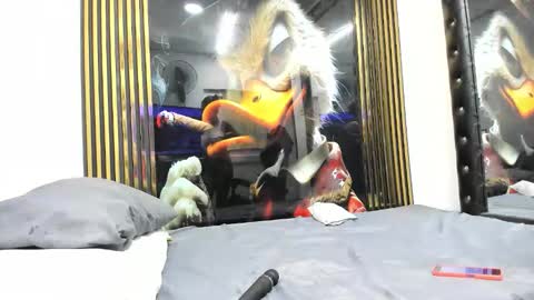 Snapshot of sexy78michell chatting on 02.14.26 sexy78michell online show from 02.14.26