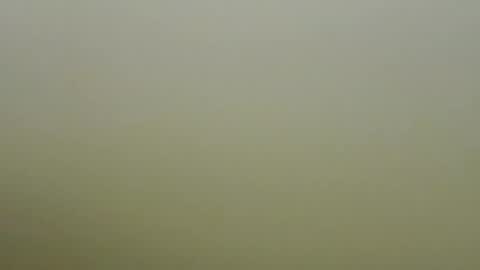 Snapshot of sexy_esther92 chatting on 01.19.26 sexy_esther92 online show from 01.19.26