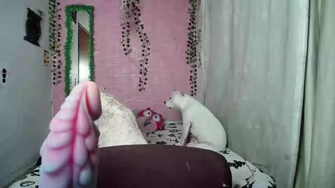 Snapshot of sexy_lolas chatting on 02.20.26 sexy lolas online show from 02.20.26