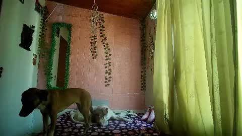 sexy lolas online show from 07.17.26