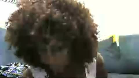 Rinah online show from 07.09.26