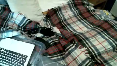 Snapshot of sexybiman74 chatting on 01.31.26 sexybiman74 online show from 01.31.26