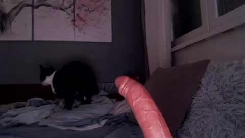     .... ............ Onlyfans   online show from 07.13.26