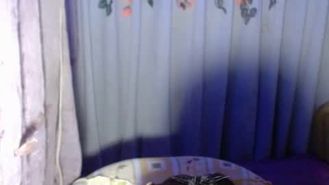 Snapshot of sexykagura chatting on 05.22.26 Kagura3 online show from 05.22.26
