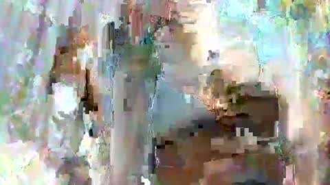 taiyan online show from 02.15.25