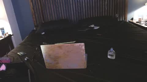 Possum online show from 09.15.25