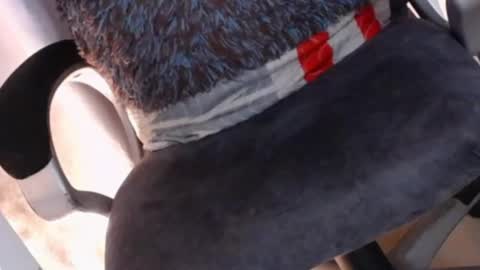 Snapshot of sexyshemale4uxxx chatting on 02.07.25 online show from 02.07.25