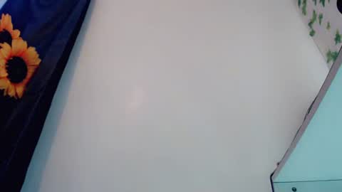 Snapshot of sexyshinixx chatting on 10.03.25 sexyshinixx online show from 10.03.25