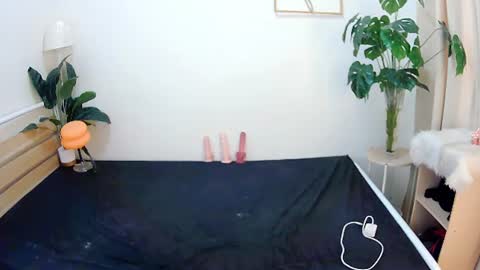 sexytrixie11 online show from 06.22.26