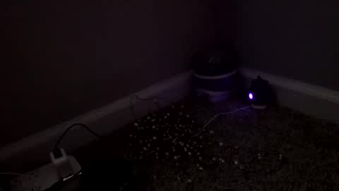 Sugar Brown online show from 03.04.26