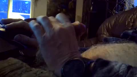 sgthard260486 online show from 02.09.26