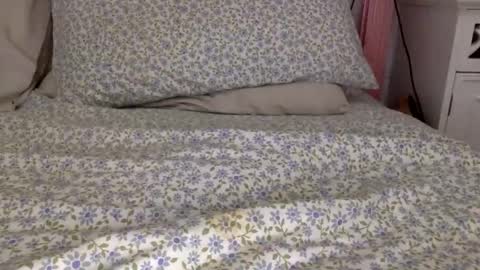 Snapshot of shavednsw chatting on 03.28.26 shavednsw online show from 03.28.26