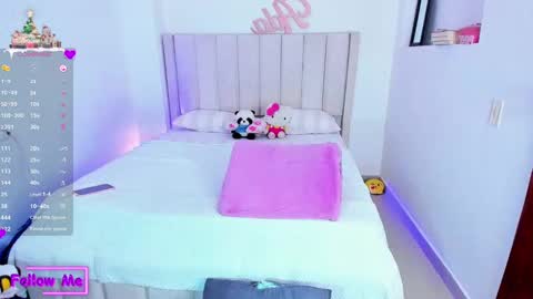 Snapshot of sheirysex chatting on 01.03.25 Danna   online show from 01.03.25