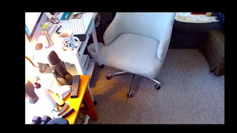 Shelaacd online show from 10.16.25