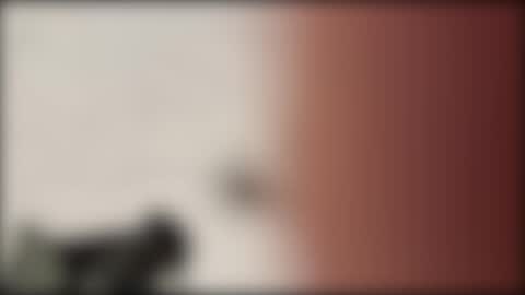 shifted1 online show from 01.01.25