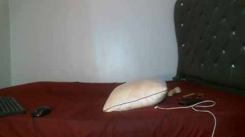 Shi-ro online show from 02.17.26