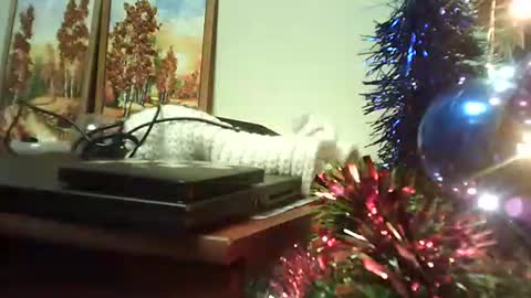 shirogane2004 online show from 01.09.26