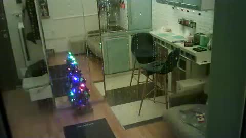 shirogane2004 online show from 01.10.26