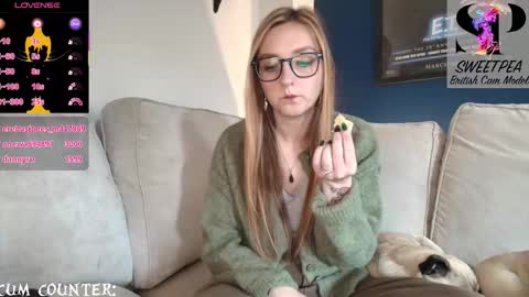 short sweetpea online show from 10.01.25