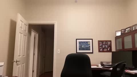 Chicago Guy online show from 02.16.25