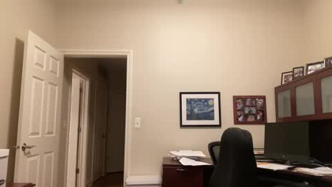 Chicago Guy online show from 07.18.26