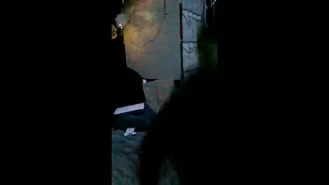 shylom online show from 02.15.26