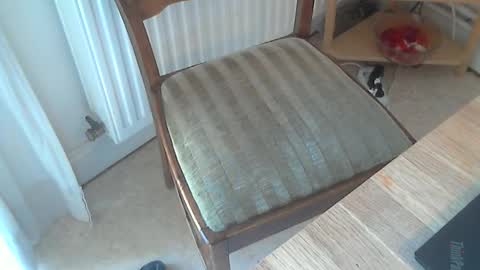 Snapshot of sibblii0 chatting on 03.04.25 Seba online show from 03.04.25