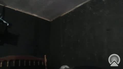 Snapshot of sikwitit625 chatting on 12.29.24 Cdub625 online show from 12.29.24