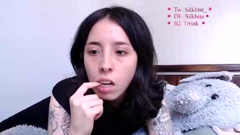 Snapshot of silkbite chatting on 08.01.26 silkbite online show from 08.01.26