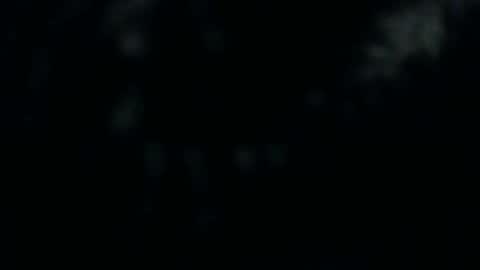 Snapshot of silkeyoz chatting on 12.10.24 Silkey online show from 12.10.24