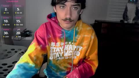 Snapshot of silly_cybin chatting on 01.14.25 cybin online show from 01.14.25