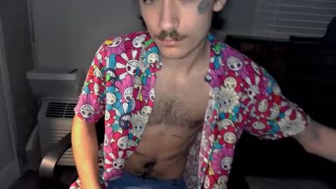 Snapshot of silly_cybin chatting on 01.20.25 cybin online show from 01.20.25