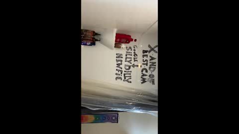 Silly Dilly Newfie online show from 06.22.26