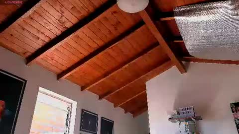 Snapshot of silvabranko chatting on 06.22.26 silvabranko online show from 06.22.26