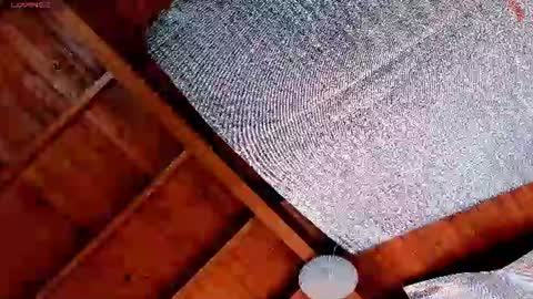 Snapshot of silvabranko chatting on 07.19.26 silvabranko online show from 07.19.26