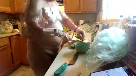 silverdragon70 online show from 04.12.26