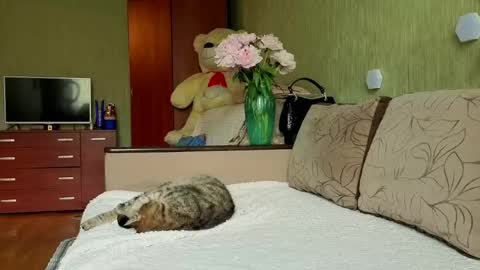 Snapshot of silviasexyy chatting on 05.30.26 miss Anna online show from 05.30.26