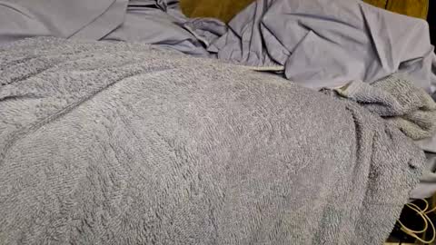 Snapshot of sinseason chatting on 12.03.24 Sinseason online show from 12.03.24