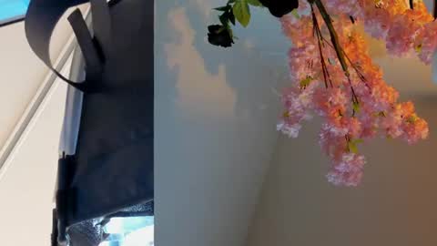 Snapshot of siouxsie_cenobite chatting on 06.24.26 Siouxsie online show from 06.24.26