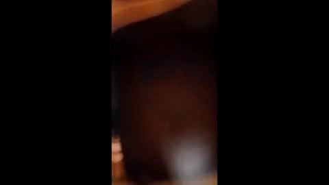 Snapshot of sissybottomcock chatting on 12.04.25 sissybottomcock online show from 12.04.25