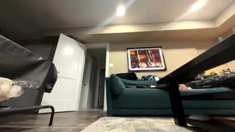 sissyinheelsbbc online show from 11.09.25