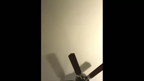 Snapshot of sissynovaholes chatting on 01.04.25 sissynovaholes online show from 01.04.25